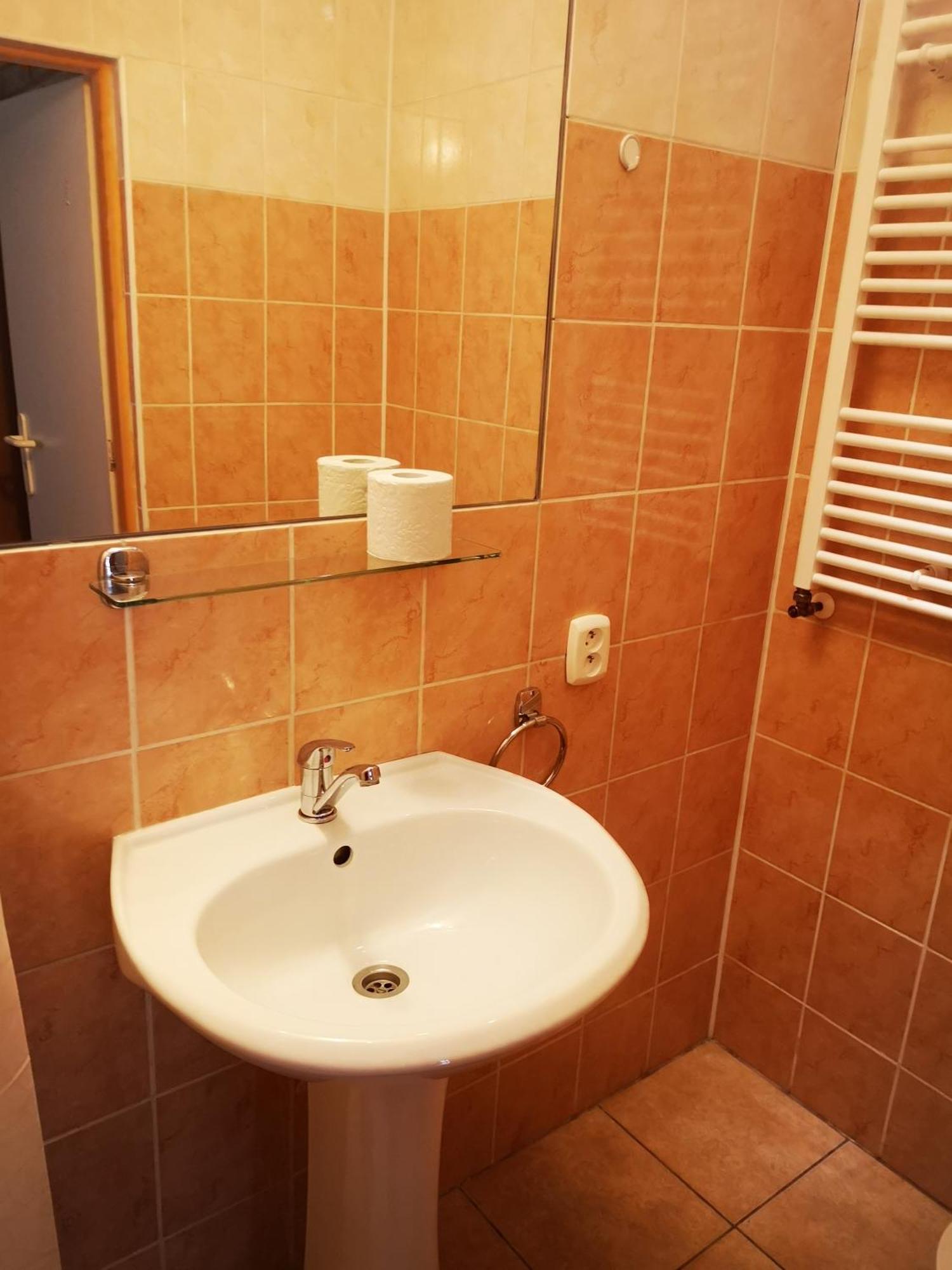 Green Apartments Lustenice 部屋 写真