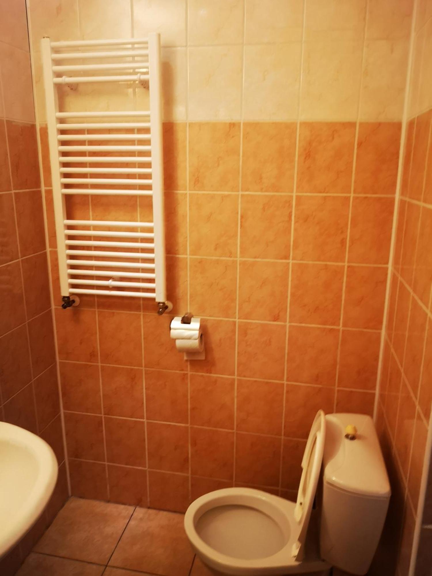 Green Apartments Lustenice 部屋 写真